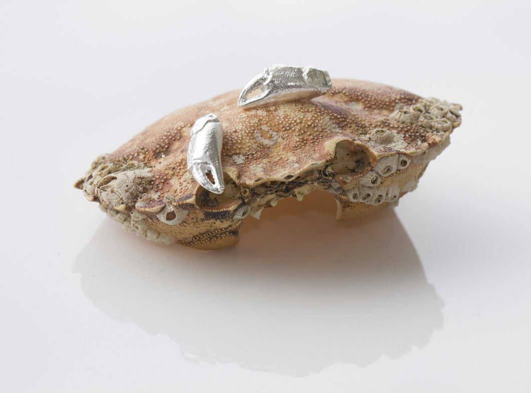 Load image into Gallery viewer, Eily O Connell Silver Crab Claw Stubs Earring